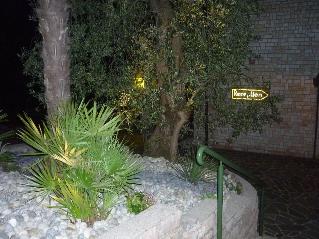 Residence Hotel Maxi Limone sul Garda Εξωτερικό φωτογραφία