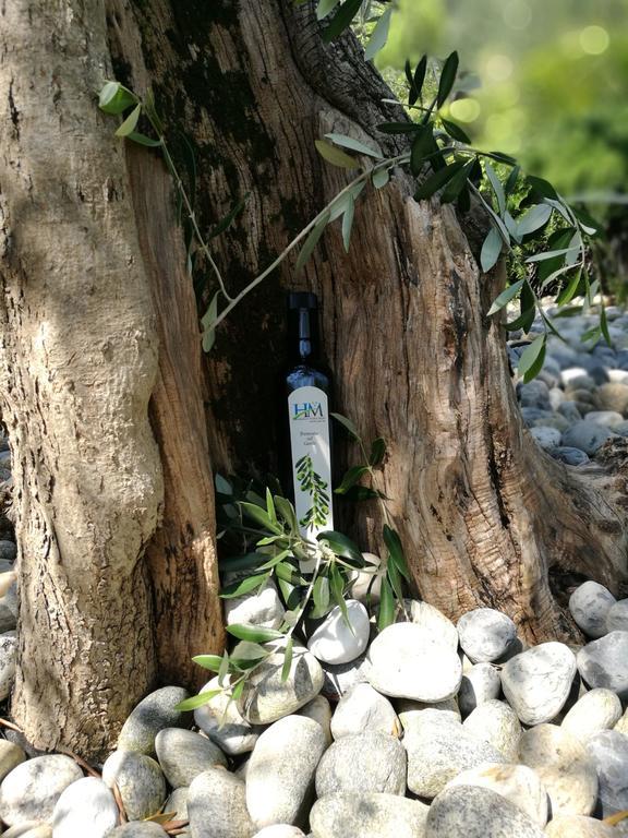 Residence Hotel Maxi Limone sul Garda Εξωτερικό φωτογραφία